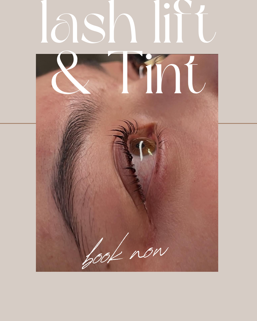 Close-up result after a lash lift and tint